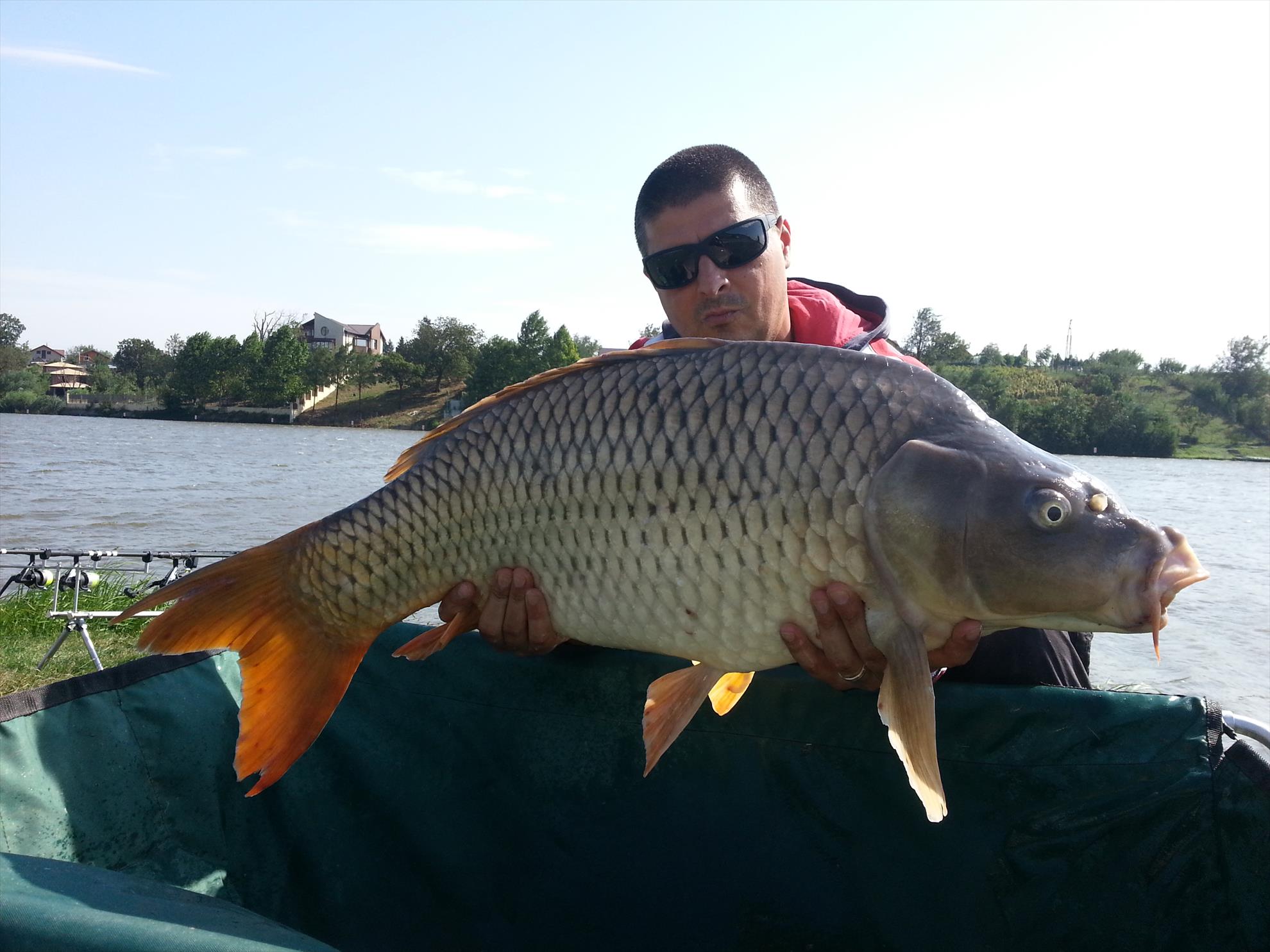 Moara Vlasiei 2 5 septembrie 2014 - 20140905153257.jpg